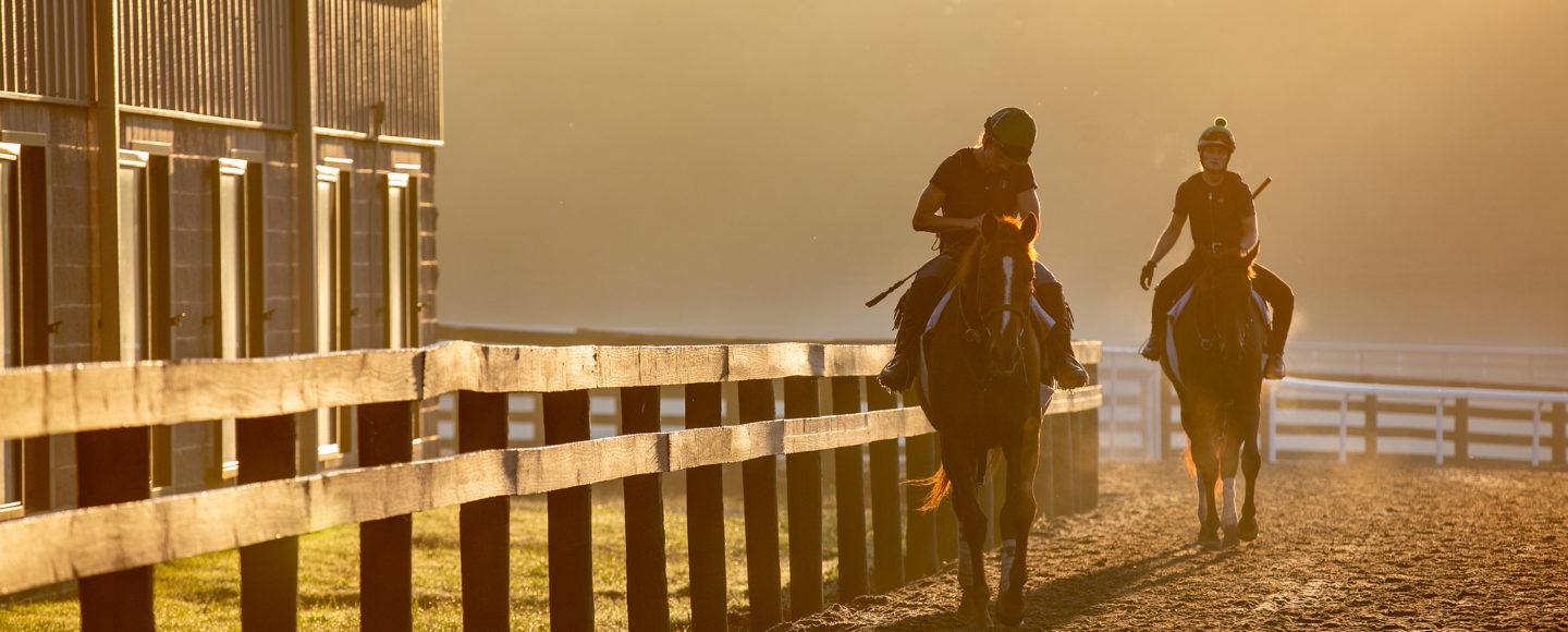 Private Training Center Experience at WinStar Farm