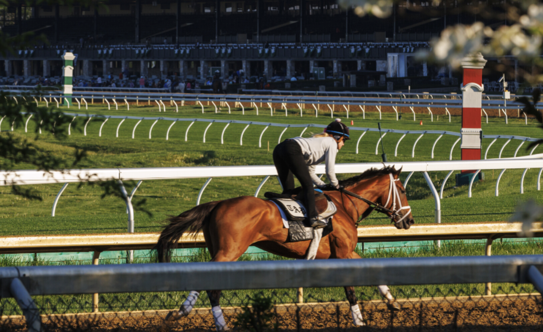 Keeneland Morning Works Tour