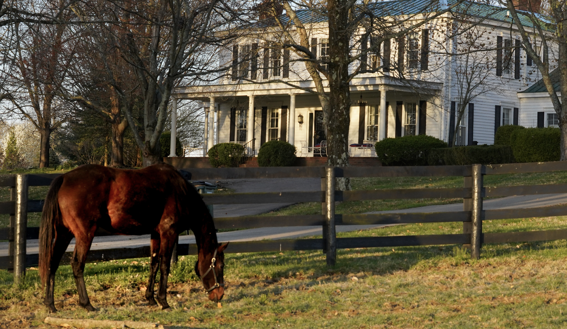 Visit TRF at Chestnut Hall