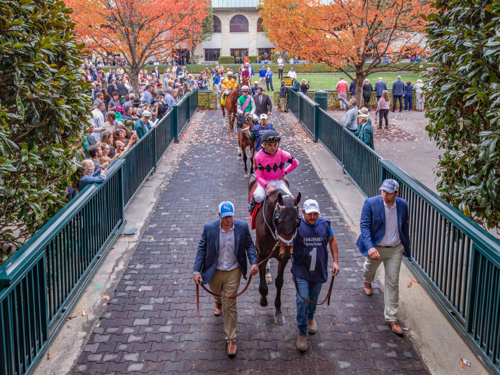 Keeneland Owner's Experience