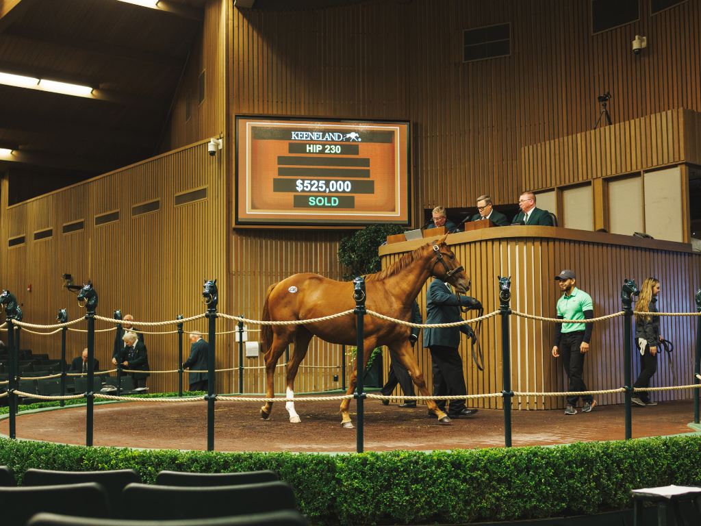 Keeneland Behind-the-Scenes Sales Experience 