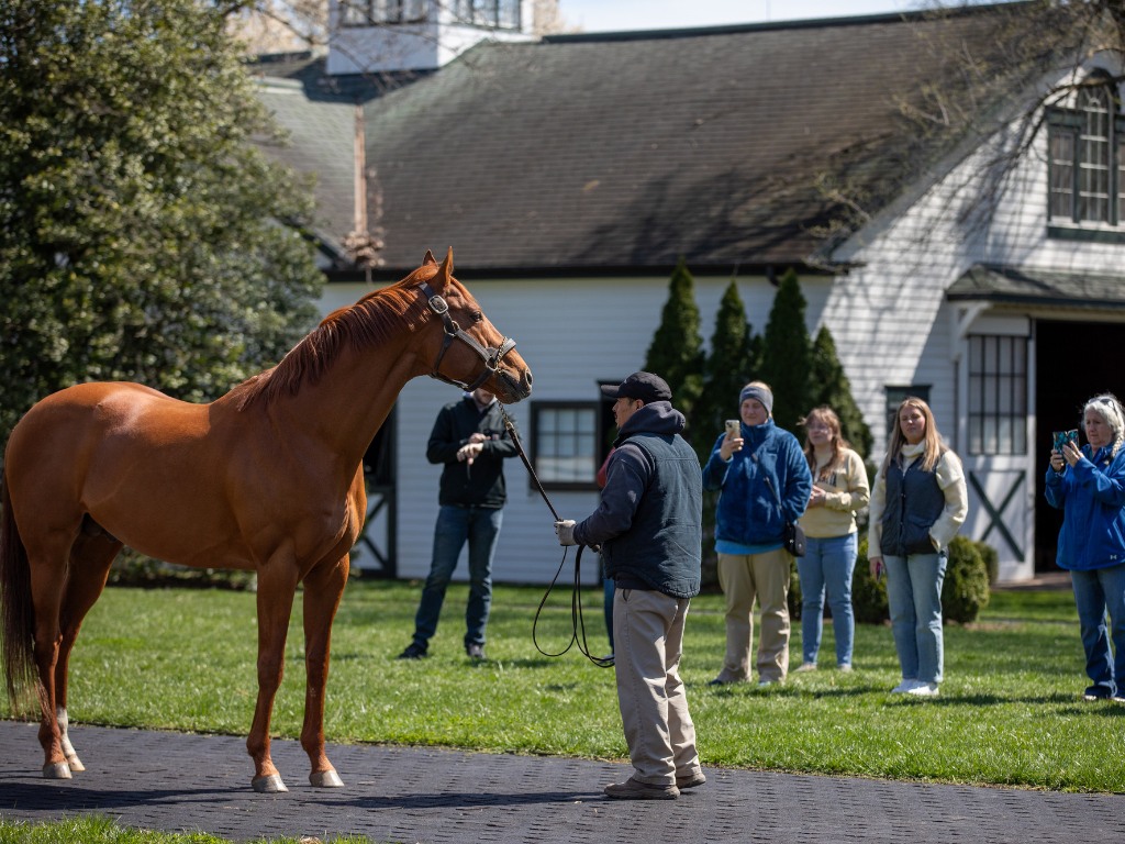 Visit Spendthrift Farm | Stallion Complex Tour