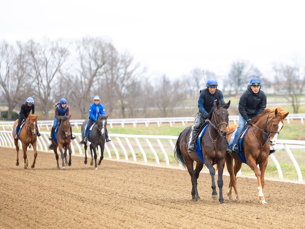 Pin Oak Stud Training Center Experience