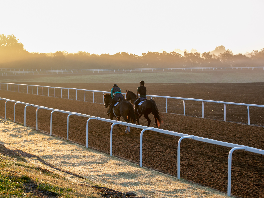 Morning Training Experience at WinStar Farm